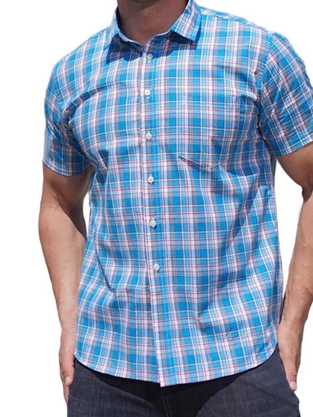 Quiksilver Blue and White Plaid Short-Sleeve Button-Down Shirt